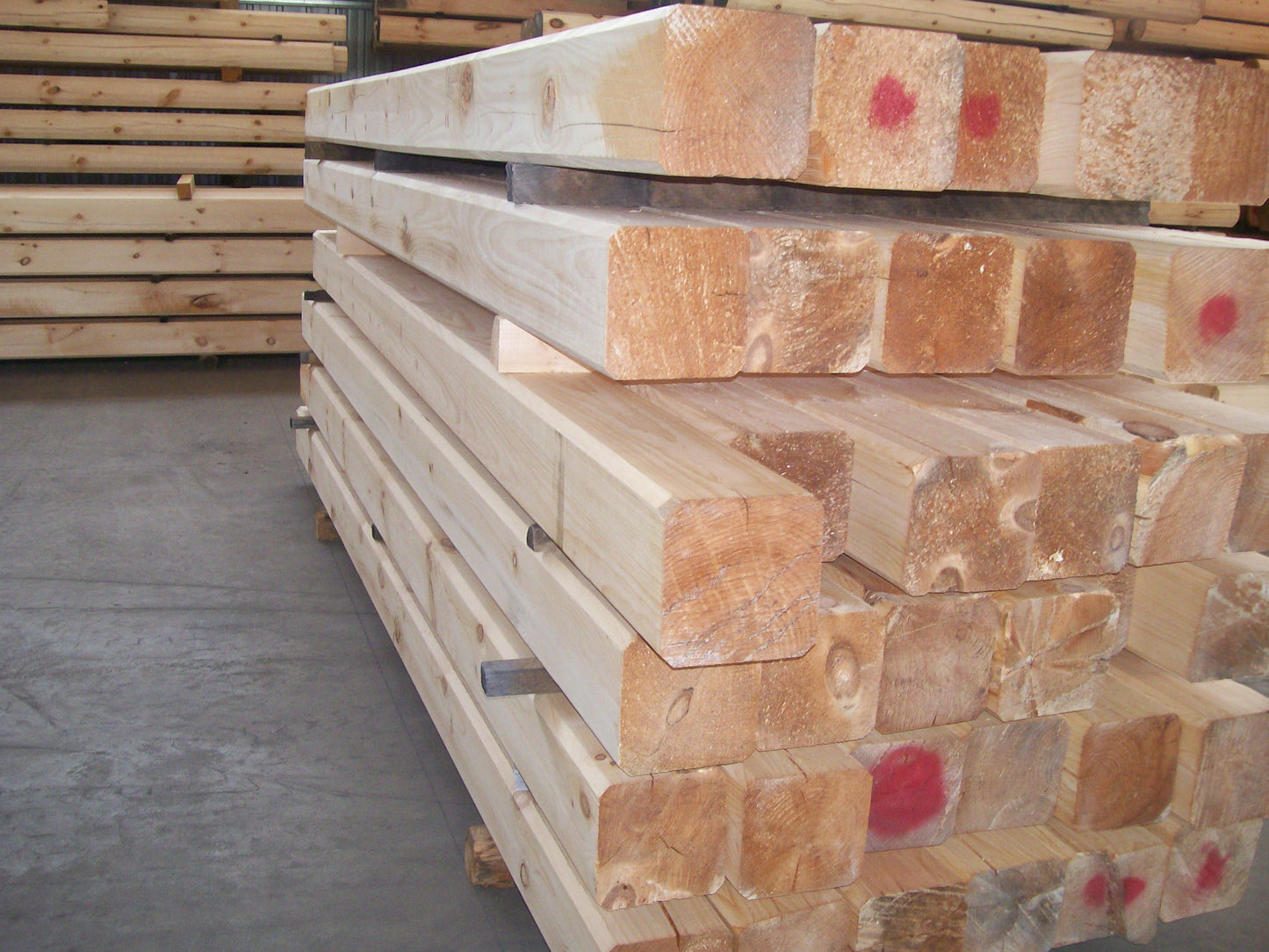 10" x 10" Beveled-Edge Square Full Log - White Pine