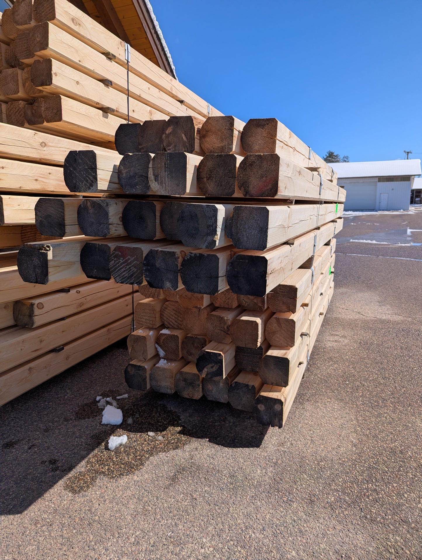 8" x 8" Super-Round D-Profile - Full Log - #135 Machine Peeled