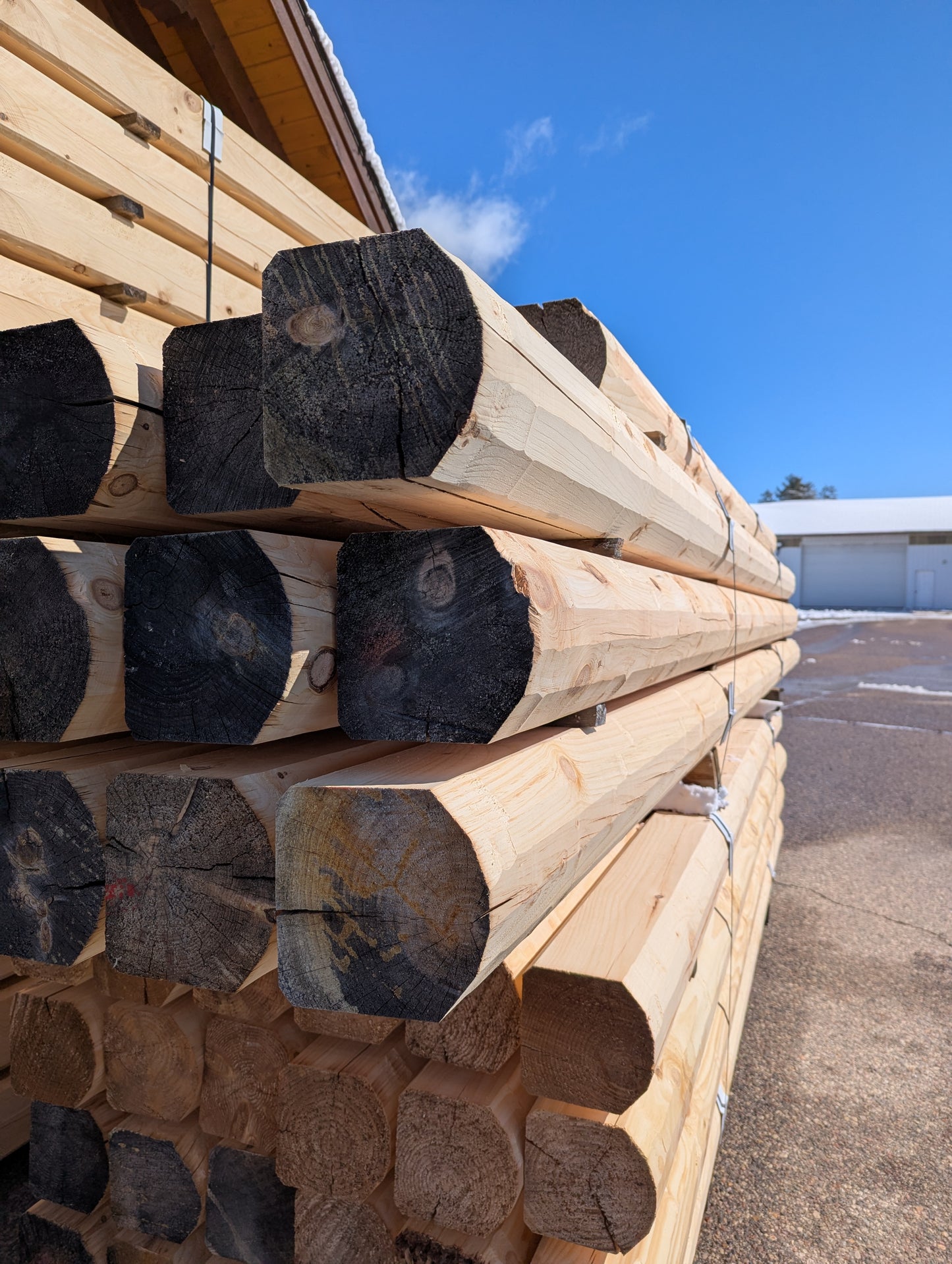8" x 8" Super-Round D-Profile - Full Log - #135 Machine Peeled