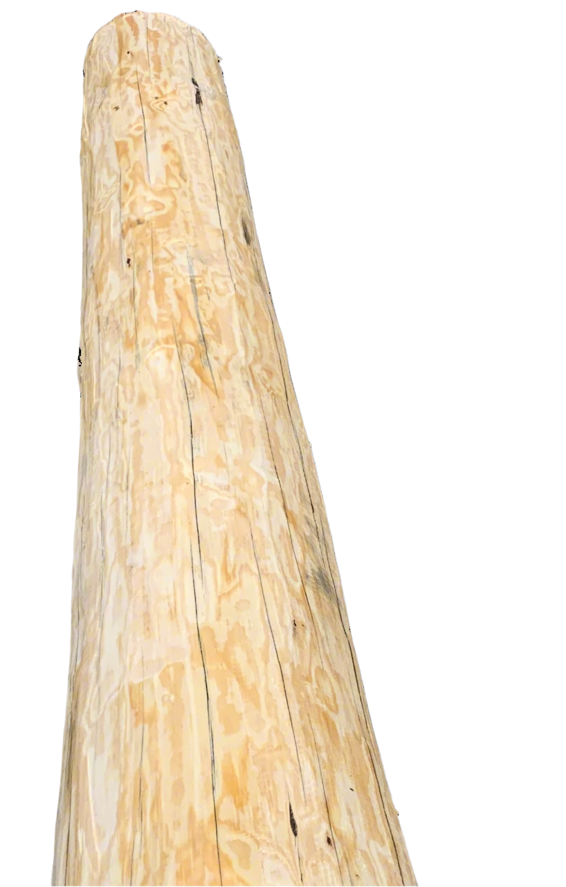 Natural Rustic Tie Beams - 9"-12" Diameter - Pine