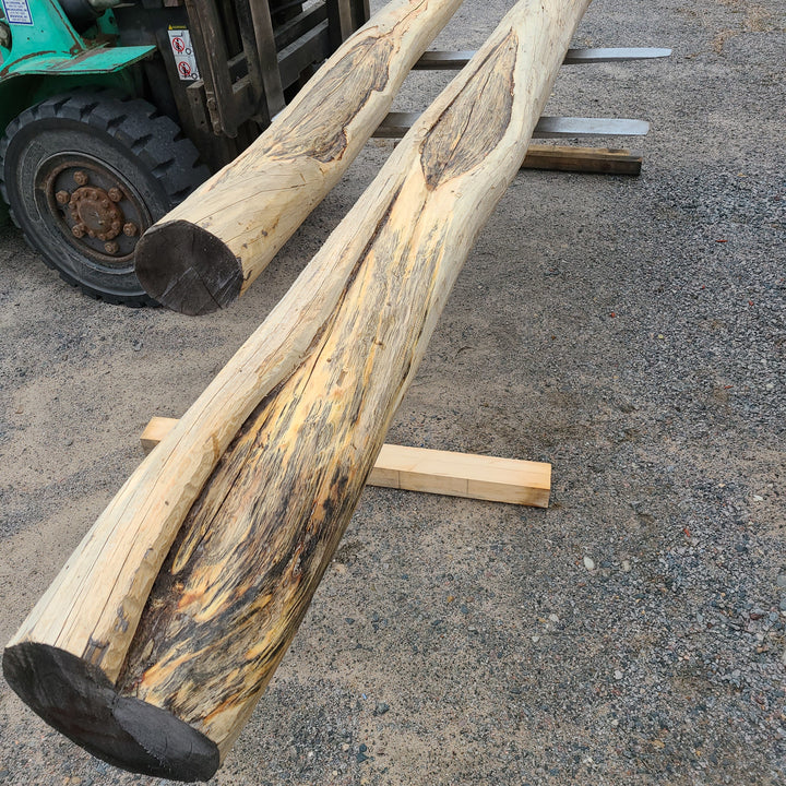Posts & Beams – Log Home Mart