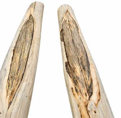 Special Character Decorative Pine Log Posts