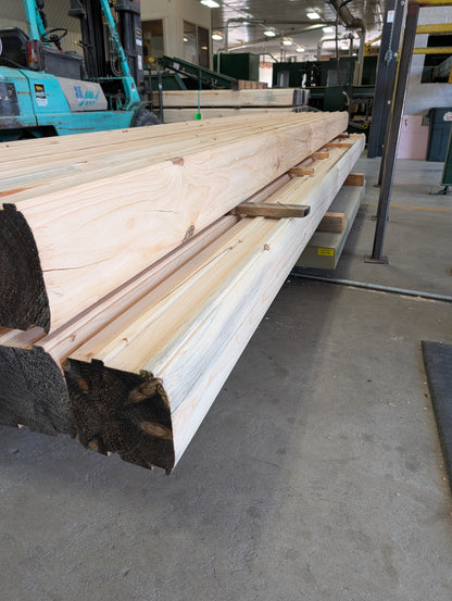 8" x 8" Double Tongue & Groove - Full Log - Semi-Smooth - #132